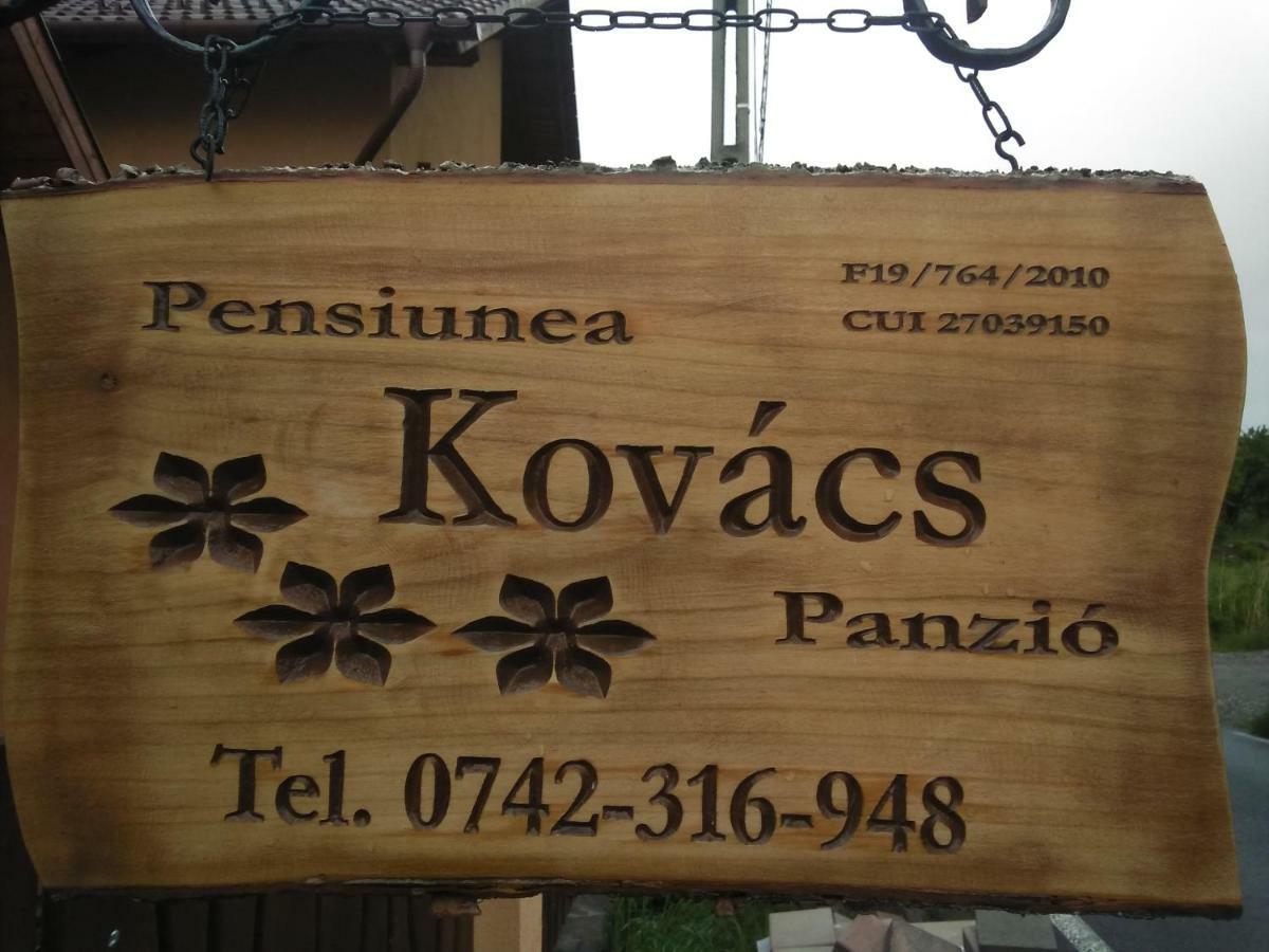 Kovacs Guesthouse Praid Exterior photo